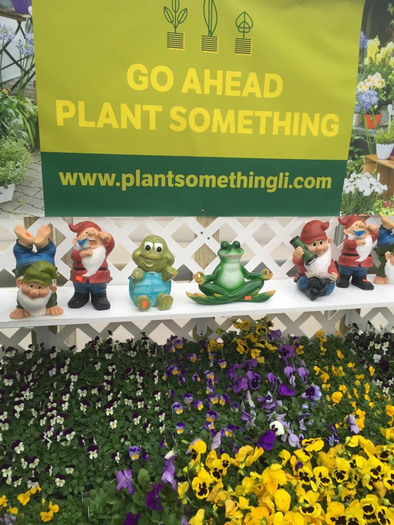 Bloomin Haus Nursery Home