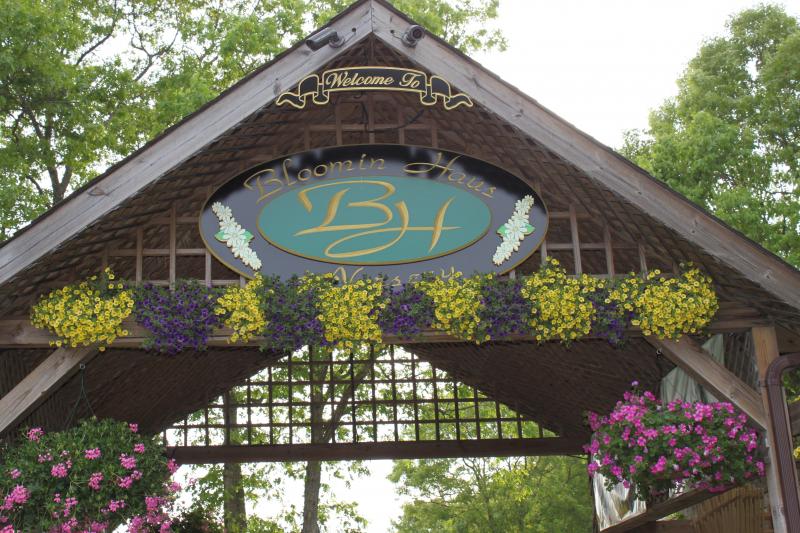 Bloomin Haus Nursery Home